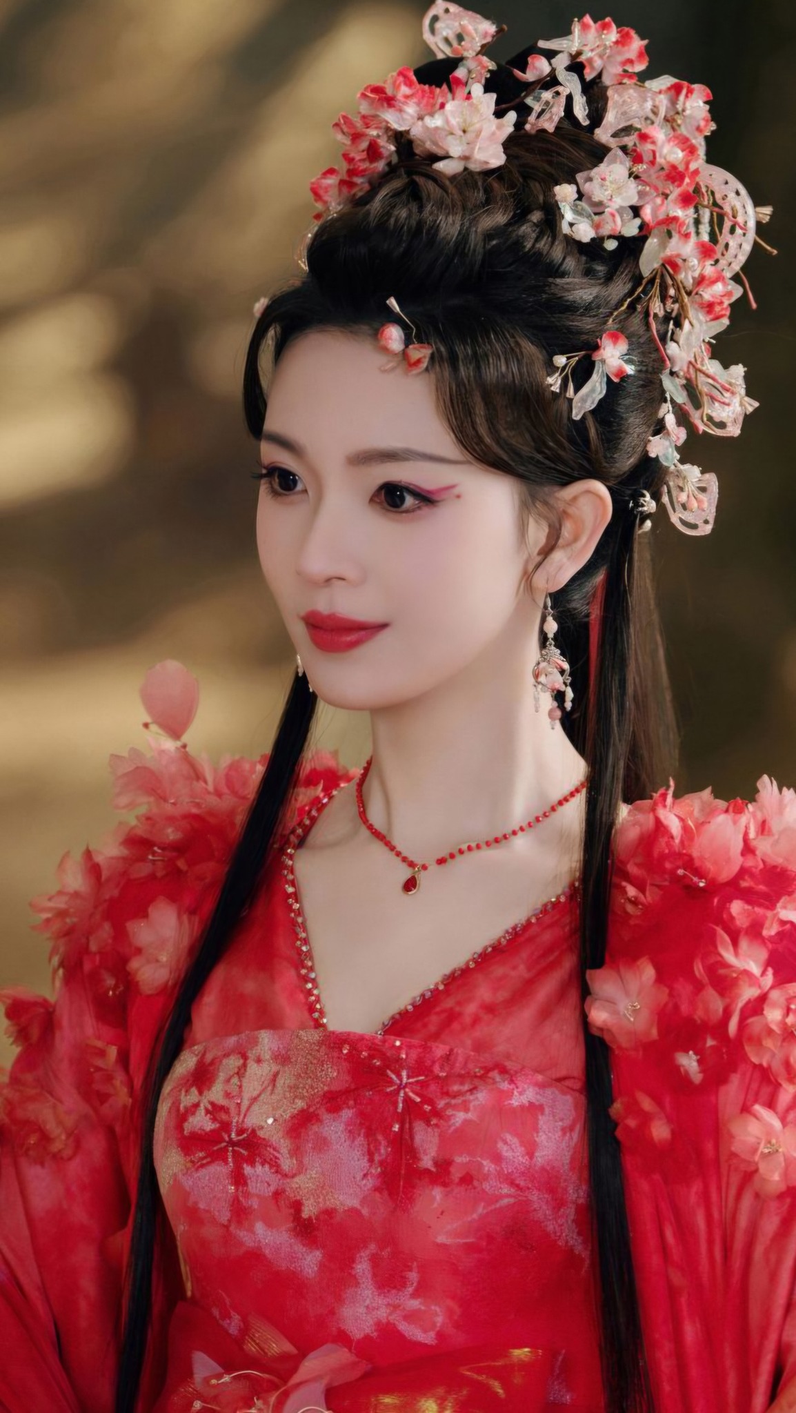 Họa Bì