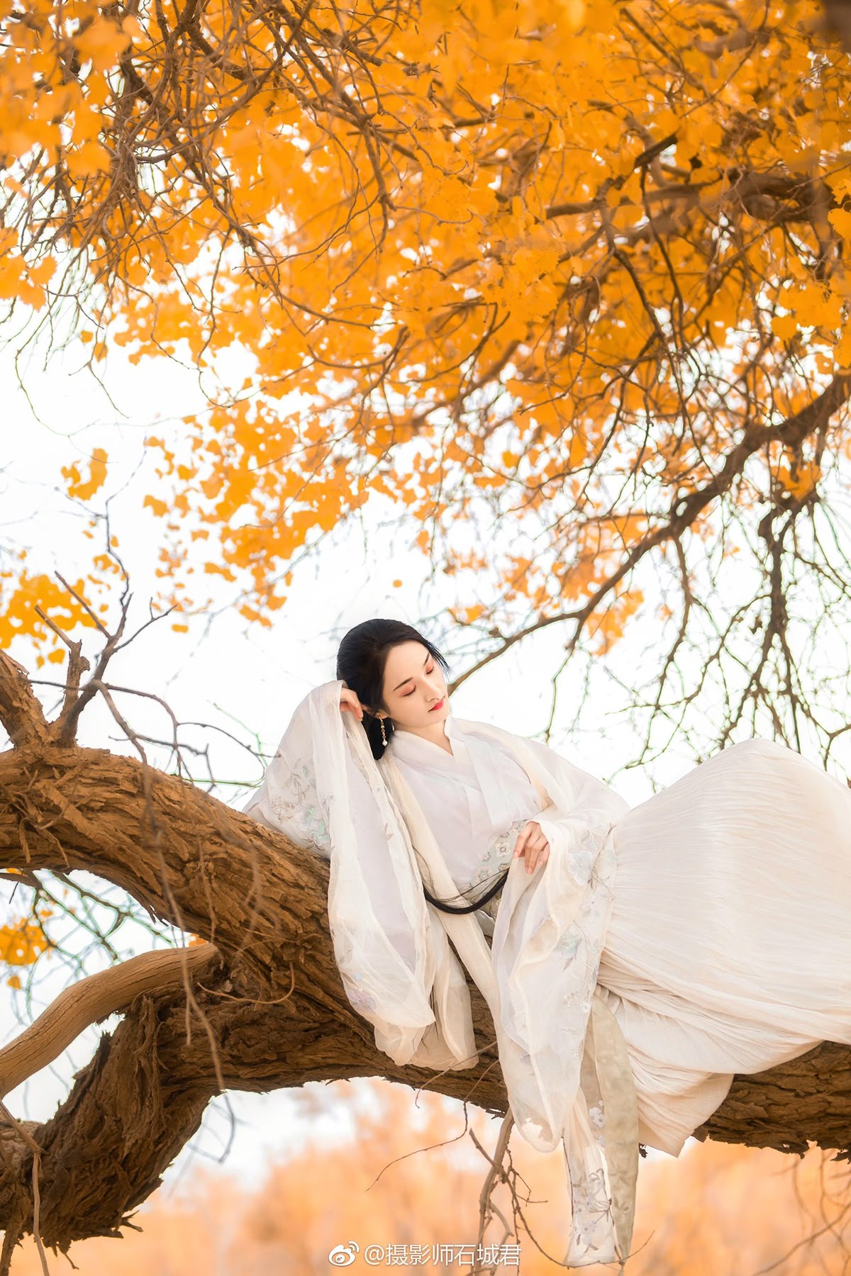 Đạo Phi Khuynh Thiên Hạ
